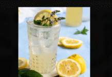 Lemon Soda – The Ultimate Refreshing Citrus Drink