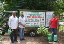 Leaf Relief: Tree Ambulance Rescues Neglected Saplings in Chandigarh