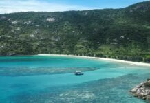 Grieving daughter of cruise ship passenger left behind on remote Australian island says ‘there was a failure of care’