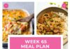 Weekly Meal Plan #65