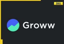 Groww IPO Day 1: Billionbrains Garage Ventures IPO subscribed 54% led by…; check details