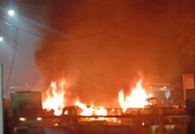 Haryana Preacher Detained In ‘White Collar’ Terror Module Case