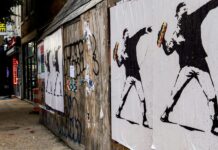 ‘No matter who you are, you can’t just go around throwing stuff at people because you’re mad’: DC riveted by Subway sandwich hurling case