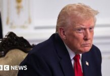 Trump says US will ‘permanently pause’ migration from ‘third world countries’