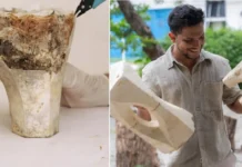 Furniture From Mushrooms? Meet the Couple Turning Waste Into Pieces That Can Return to Soil in 180 Days