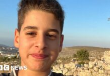 Palestinian-US teen freed after nine months in Israeli jail
