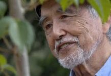 Japanese Lacquer Faces Crisis as Production Declines