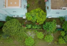 What a Student From Bhopal Learned While Filming How Pench’s Villagers Live With Tigers