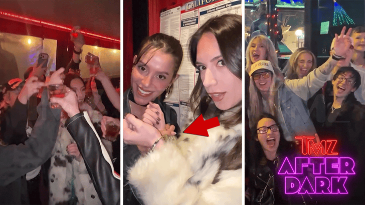 ‘TMZ After Dark’ Hosts First-Ever Gay Party Bus, Our Wildest Ride Yet