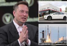 Elon Musk’s net worth hits staggering $648B, making him more than twice as wealthy as runner-up