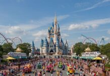 15 Visits To Theme Parks That Ended Tragically