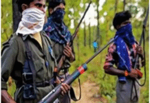 Maoist, Involved in 2009 Madanwada Massacre of 29 Cops, Among 4 Ultras Surrender