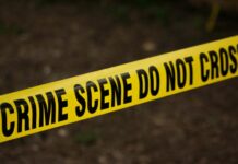 Bear Attack in Alluri Agency: Tribal Man Injured While Guarding Crops