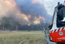 Anthony Albanese warns of ‘difficult’ bushfire season ahead as almost 40 homes lost in NSW and Tasmania