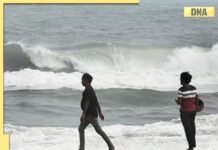 Cyclone Ditwah: IMD predicts heavy rainfall in Tamil Nadu, Coastal Andhra Pradesh; orange alert issued