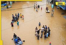 Cyclone Ditwah batters Sri Lanka as it claims 334 lives, leaves 370 missing