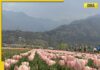 DNA TV Show: Kashmir’s air quality deteriorates as AQI crosses 300