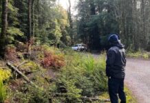 Police join search for Belgian tourist after phone found in Tasmanian wilderness two years since she went missing