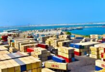 Export of commodities, services from free zones increases 19%