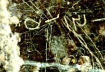 Sassanid-era inscription referring to royal festival discovered