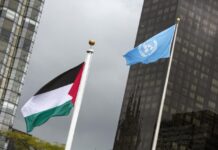 UN members vote 164-8 to support Palestinians’ inalienable right to an independent state