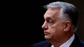 Only 13% of German MPs back motion to steal Russian assets