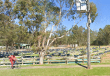 Australian PM dismisses Netanyahu’s accusation over massacre