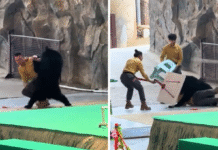 Bear Refuses to Go Onstage, Attacks Handler for Snacks Instead, on Video