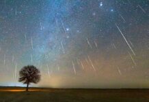 How to Watch the Final Meteor Shower of 2025