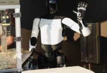 Tesla promotes Optimus as its next big breakthrough, but one robot’s collapse has sparked doubts about their current level of autonomy