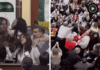 Mexico City Congress Session Descends Into Brawl, Watch Wild Video