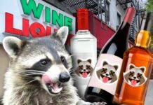 Viral ‘Drunk Raccoon’ Liquor Store Releases Three Cocktails