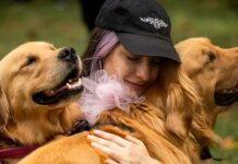Golden Retrievers Fetch World Record for Most Gathered in a Park at Same Time