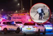 Video Shows Bystander Disarming Bondi Beach Gunman During Mass Shooting