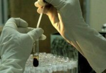Staff Crunch Hits Andhra Pradesh Drug Testing Labs