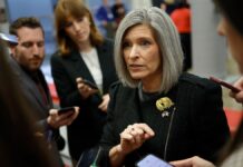 Federal employees in the hot seat as GOP senator pushes transparency proposal: ‘Historic opportunity’