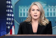 Leavitt accuses CNN reporter of trying to ‘push narratives’ during heated White House exchange