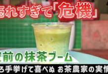 Are Japan’s Tea Farmers Going Matcha?