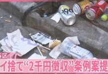 Shibuya Passes Plan for 2,000-Yen Fine for Littering