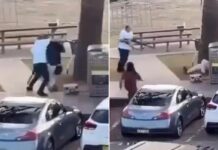 Incredible moment Bondi Beach hero disarms terrorist who opened fire on Hanukkah party