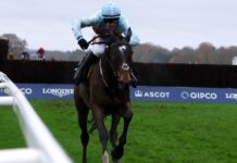 Jet Blue tipped to land Long Walk Hurdle at Ascot