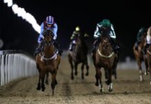 Young Endless bids to return to winning ways at Newcastle