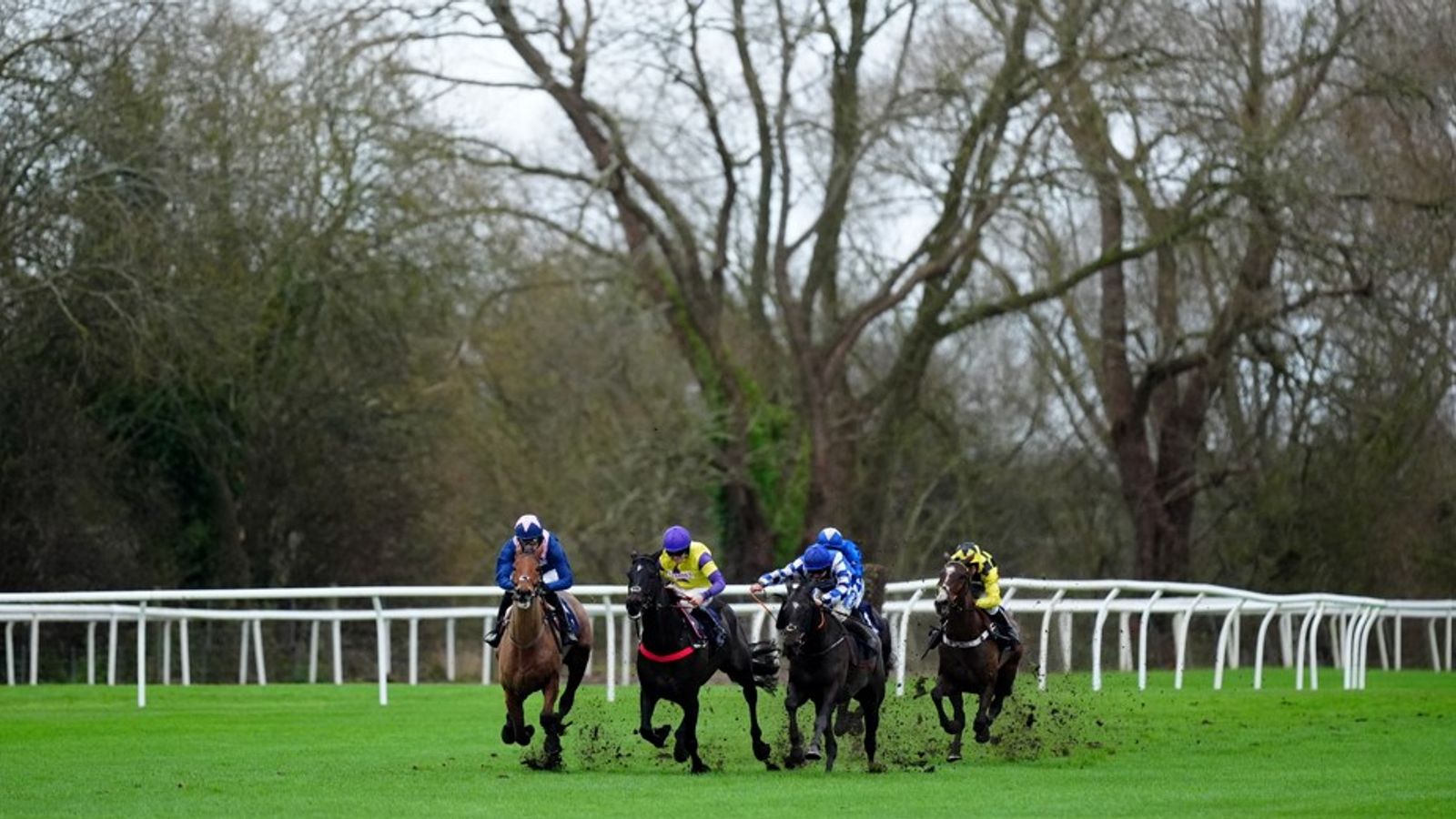 Fingle Bridge pursues first win over fences at Uttoxeter