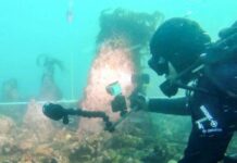 Divers discover 7,000-year-old undersea wall off coast of France