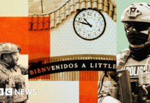 How ICE raids changed a once bustling Chicago neighbourhood