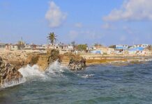 2/25: CBS Evening News