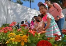 From Mumbai to Ooty, Flower Festivals Worth Planning a Trip Around