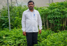 He Planted Mangoes Where No One Believed They’d Grow — Today, His Farm Earns Rs 50 Lakh a Year