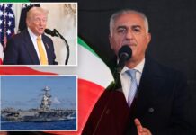 Iran’s exiled crown prince calls for Trump intervention to ‘expedite the process’ of tossing regime