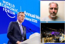 World Economic Forum CEO Borge Brende quits over Jeffrey Epstein ties